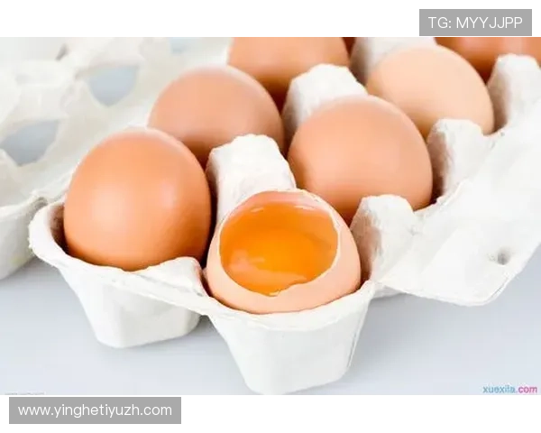 南宫NG官网手机版最新版本下载安装指南，轻松掌握南宫NG官网手机版全部功能